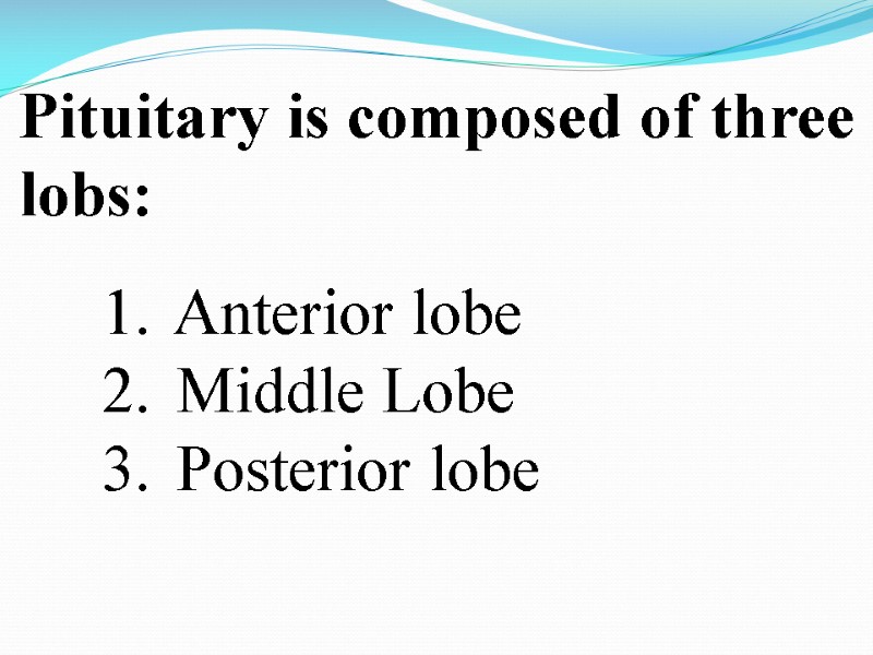 Pituitary is composed of three lobs:   Anterior lobe   Middle Lobe